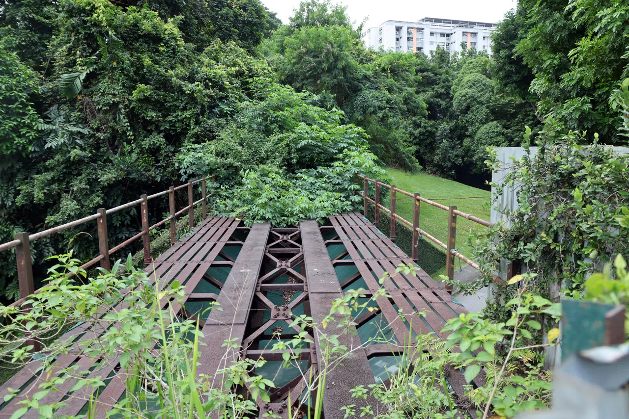 穿越马裕树林的裕廊铁路原为工业货运铁路，早在1990年代已停用。（邝启聪摄）