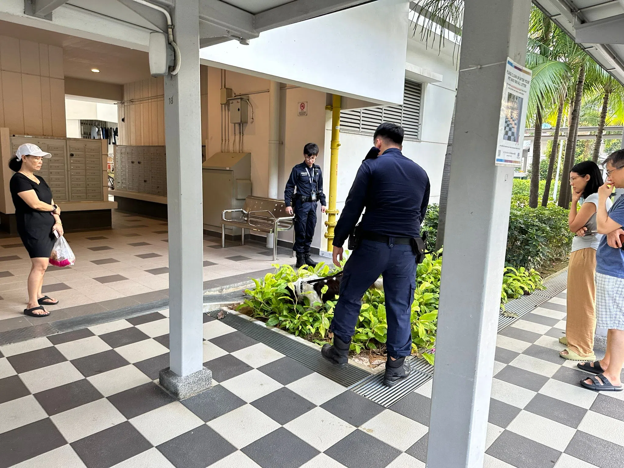 警方出动了警犬在周围四处搜查。（读者提供）