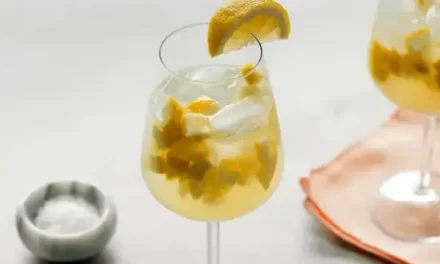 Salted Lemon-Ginger Spritzer